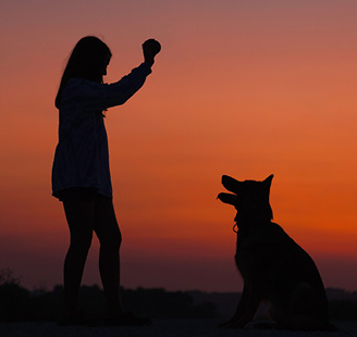 Girl holding a ball up for her large dog against a sunset background